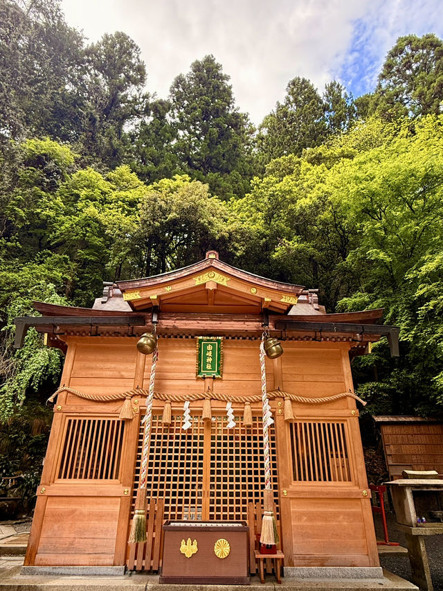 京都｜800年歷史53公尺高大杉木 由岐神社的鎮邪傳說