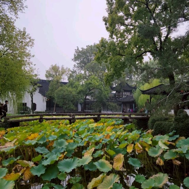 【蘇州】拙政園