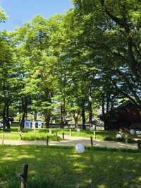 Gyeonggijeon Shrine: A Journey to the Heart of Joseon