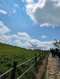 Wandering Through the Clouds at Heavenly Garden