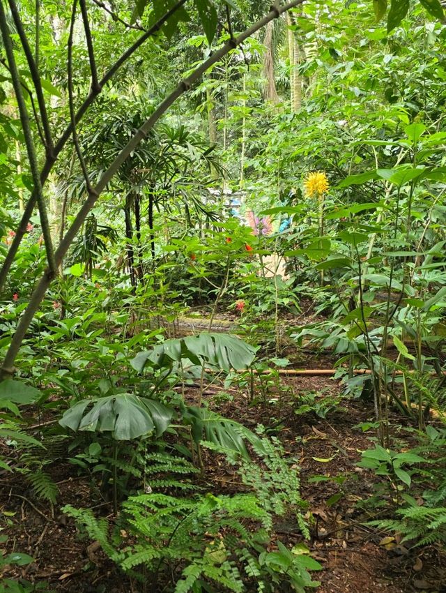 해외여행 브라질 이과수 조류동물원 Parque das Aves