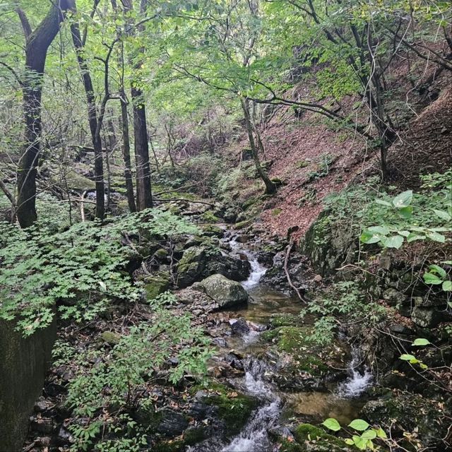A Casual Hike to Birobong at Odaesan