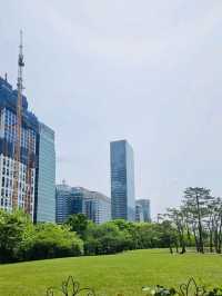 Yeouido Park: A Refreshing Urban Oasis