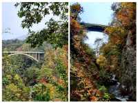 仙台から一泊二日で温泉と🍁もみじ狩り