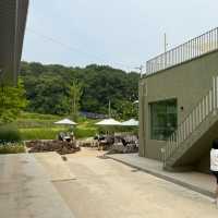 🫧👗아산 샤스타데이지 카페 카페지새울
