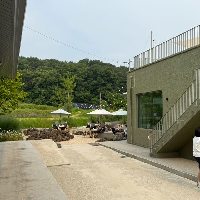 🫧👗아산 샤스타데이지 카페 카페지새울