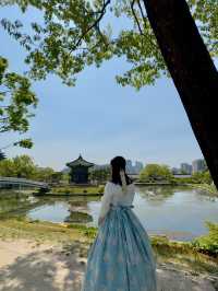🌸 A Dreamy Birthday Moment at Gyeongbokgung Palace, Seoul 👘🎂