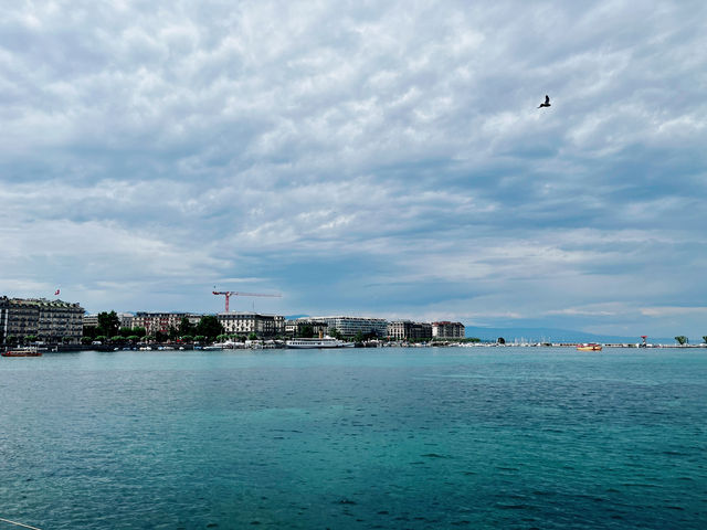 Serene Beauty at Geneva Harbour: A Must-See Lakeside Experience
