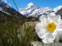 Aoraki / Mount Cook National Park
