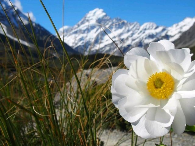 Aoraki / Mount Cook National Park