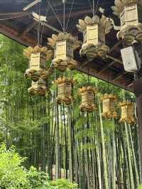 愛知]まるで京都のような竹林と紫陽花のコラボレーション🩵✨