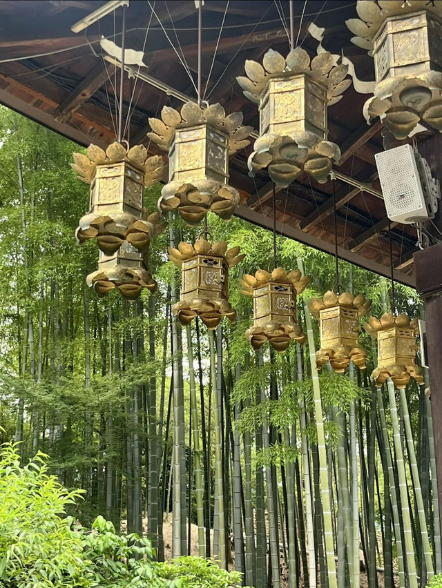 愛知]まるで京都のような竹林と紫陽花のコラボレーション🩵✨