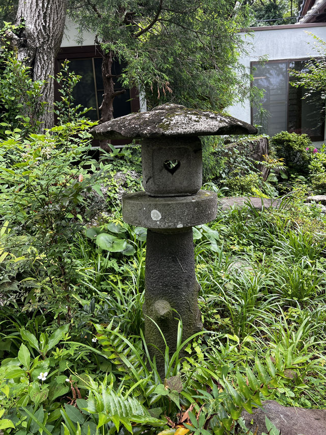 木に会いに行く旅って、ちょっと素敵だと思いませんか？🇯🇵✈️🌎 