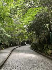 📚【鎌倉・鎌倉文学館】文豪たちが愛した洋館と四季のばら園を歩く旅