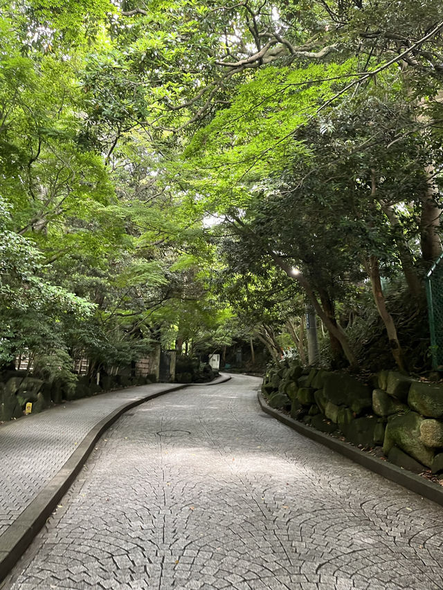 📚【鎌倉・鎌倉文学館】文豪たちが愛した洋館と四季のばら園を歩く旅