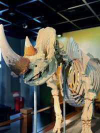 Guangdong Museum of Traditional Chinese Medicine – A Calm Dive into Ancient Wisdom
