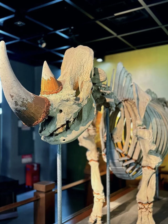 Guangdong Museum of Traditional Chinese Medicine – A Calm Dive into Ancient Wisdom