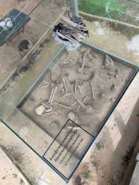 The Killing Fields: A Haunting Reminder of Cambodia’s Past