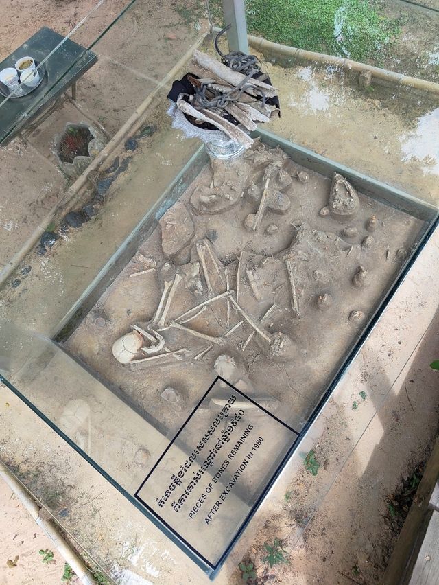 The Killing Fields: A Haunting Reminder of Cambodia’s Past