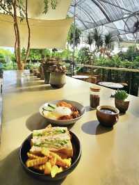 Desaru’s Budget Café Surprise: Sip & Stroll Through Nature