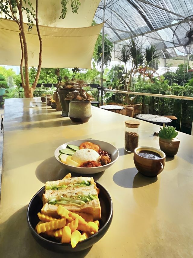 Desaru’s Budget Café Surprise: Sip & Stroll Through Nature