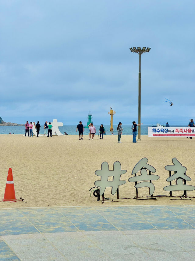 속초 여행가면 꼭 가야하는 곳 🩵