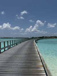 馬爾代夫的硬石酒店（Hard Rock Hotel Maldives）