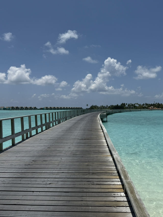 馬爾代夫的硬石酒店（Hard Rock Hotel Maldives）
