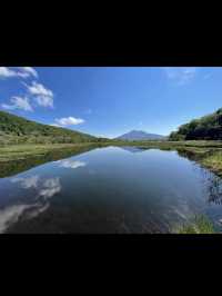 【尾瀬国立公園】湿原と高山植物に癒される、静寂のハイキング旅