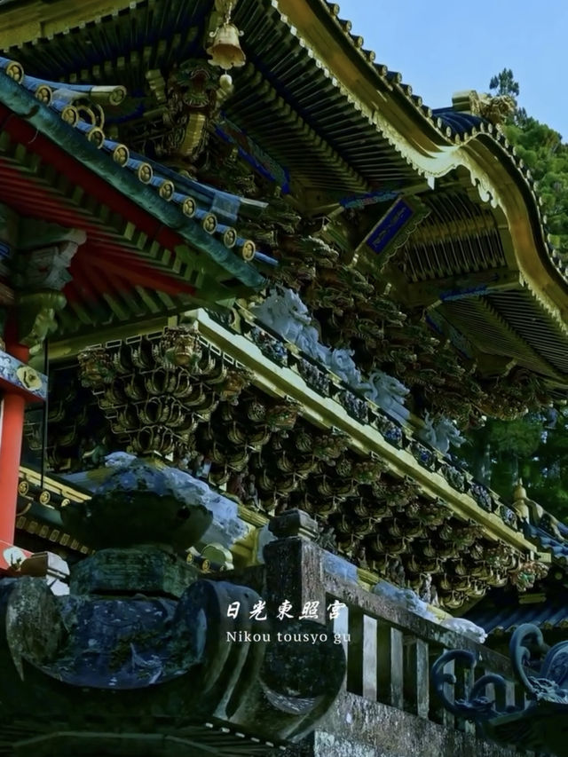  🏯【日光東照宮】眠り猫と陽明門、神の美が宿る世界遺産へ