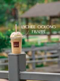 JAPANESE-INSPIRED McDONALD’S OUTLET WITH TERRAPIN POND! 🇯🇵🍔