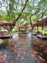  คาเฟ่และร้านอาหารบรรยากาศริมบ่อปลาคาร์ป