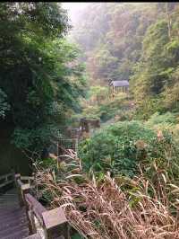 🌲嘉義梅山秘境｜竹坑溪步道：瀑布、吊橋、水濂洞，一次滿足森林系的冒險魂！