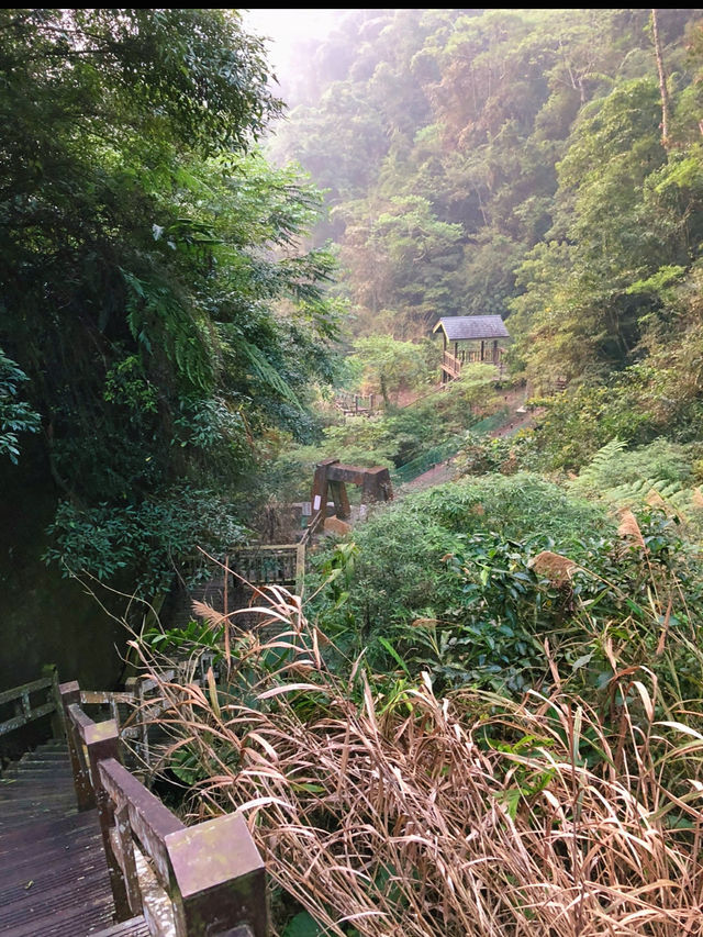 🌲嘉義梅山秘境｜竹坑溪步道：瀑布、吊橋、水濂洞，一次滿足森林系的冒險魂！