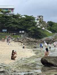 🏖️ 美人沙灘奇遇記：與海龜共舞的秘境之旅