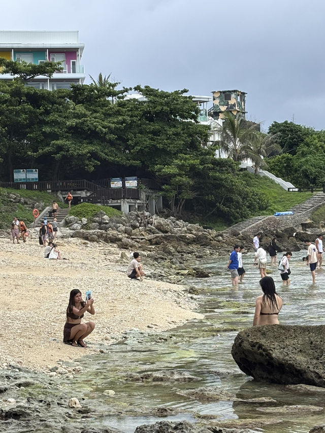 🏖️ 美人沙灘奇遇記：與海龜共舞的秘境之旅
