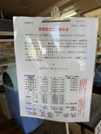 ⛴️房総入口！風と海を感じる「東京湾フェリー 金谷港ターミナル」
