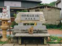 เราจะพาไปเกาะที่มีประชากรแมวมากกว่าร้อยตัว🐈