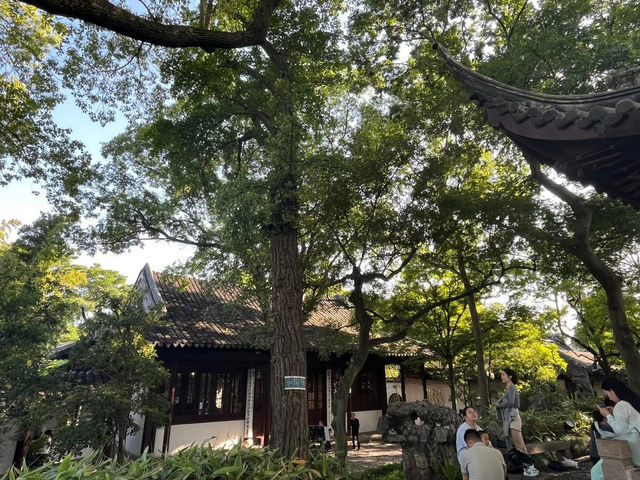 🌿 Canglang Pavilion 沧浪亭 — Suzhou’s Oldest Garden with Timeless Serenity 