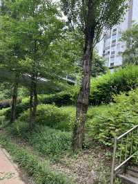 고덕천 산책과 이케아 쇼핑