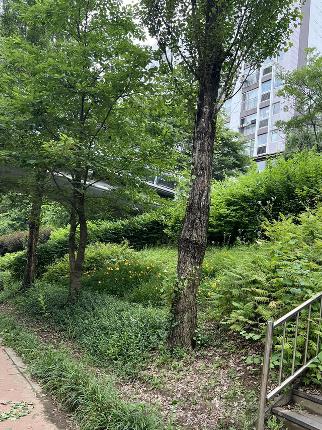 고덕천 산책과 이케아 쇼핑
