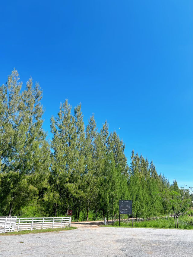 Sol Glamping Khaoyai
