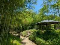 姬路 | 好古園 姬路城西御屋敷跡庭園
