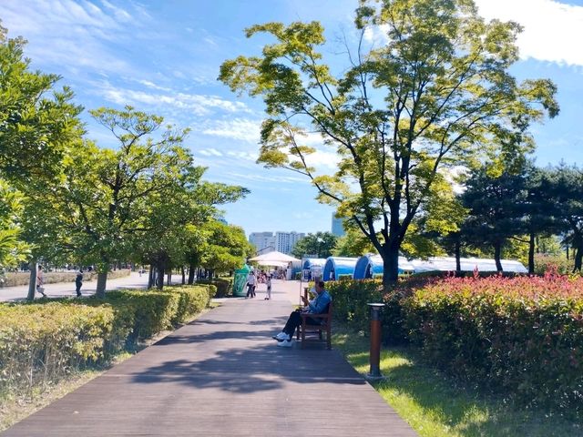 Nature preserve in Busan, South Korea