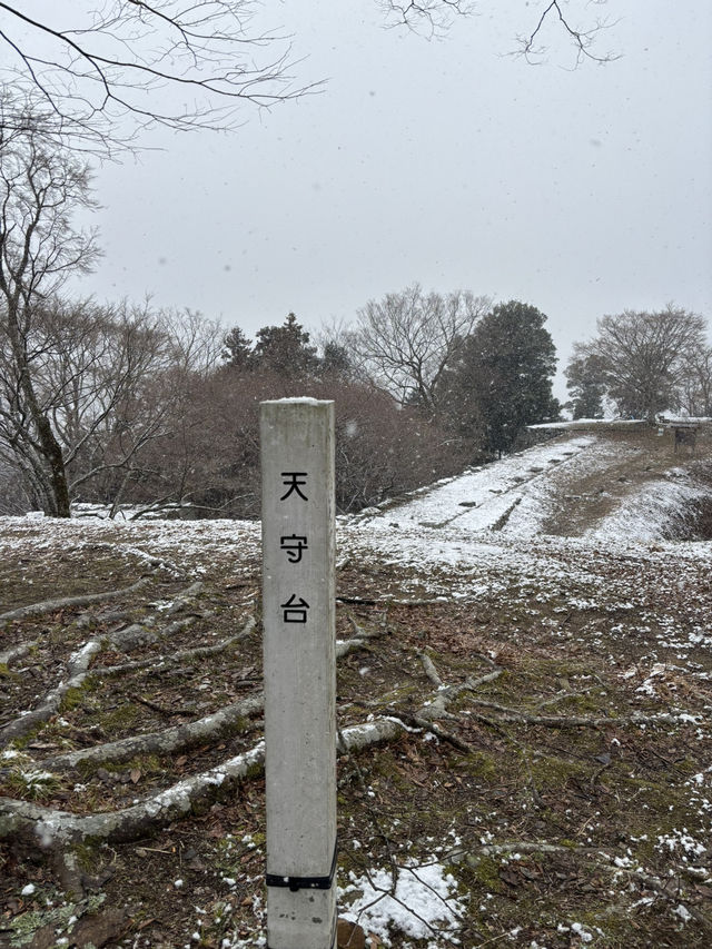 津和野城跡（需搭纜車）