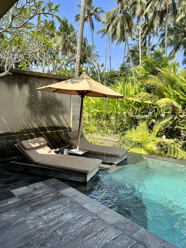 Frozen Kiwi Cocktail at Kuwarasan – A Tropical Refreshment in Ubud 🌿🍹