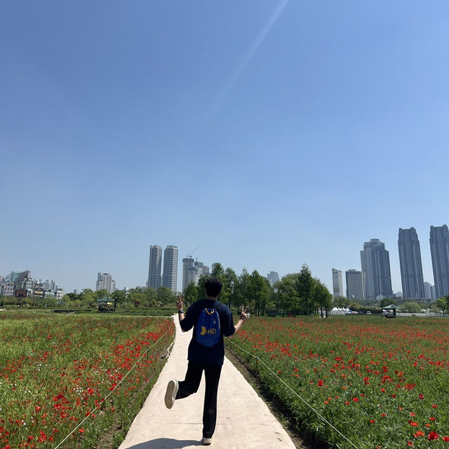 🌸 울산 태화강국가정원, 꽃길 따라 자전거 타는 하루