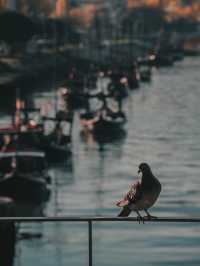 Porto’s Postcard Perfect Pair – Cais da Ribeira & Luís I Bridge