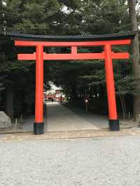 鹿兒島-霧島神宮