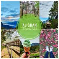 ให้ธรรมชาติโอบกอด @ Alishan ไต้หวัน